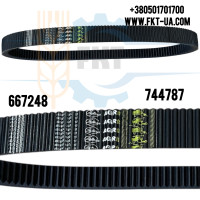 Ремінь клиновий широкий (744787/667248)